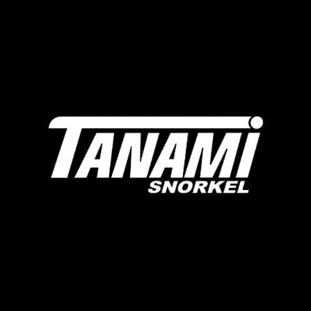 Mondex Tanami Stainless Steel Snorkels