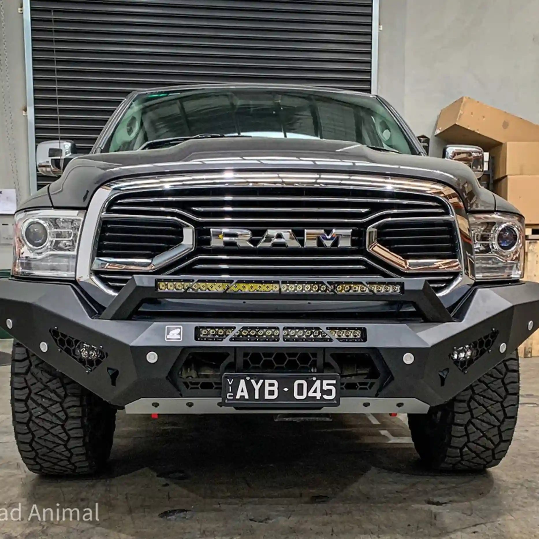 Front view of the Offroad Animal Predator Bull Bar on a Ram 1500 DS, showcasing its aggressive full-width steel design and perfect integration. Crafted by Elevated 4x4, this bull bar enhances airflow, protection, and off-road performance while keeping a bold, rugged aesthetic fit for Australian adventures.