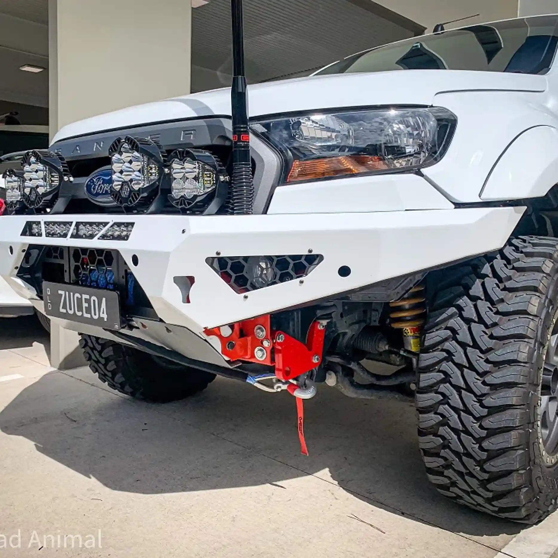 Installed front view of the Offroad Animal Predator Bull Bar on a Ford Ranger PX2, highlighting its sleek matte black finish and bold, aggressive styling. This premium 4WD accessory from Elevated 4x4 offers exceptional strength, ADR compliance, and airflow efficiency — giving your Ranger superior off-road capability and a head-turning look across Australia.